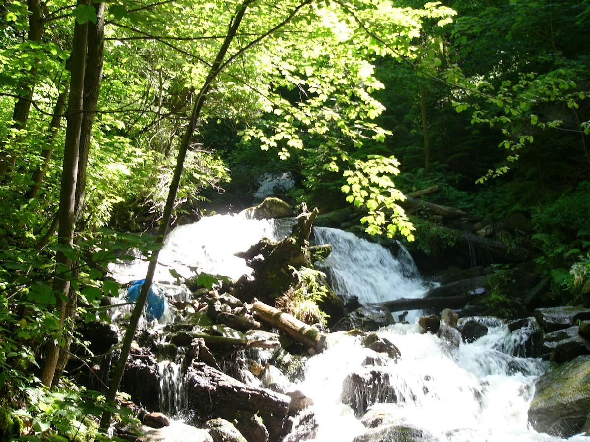 Camping Chalets Brunner Am See Villa Dobriach Luaran gambar